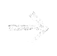 Suivant